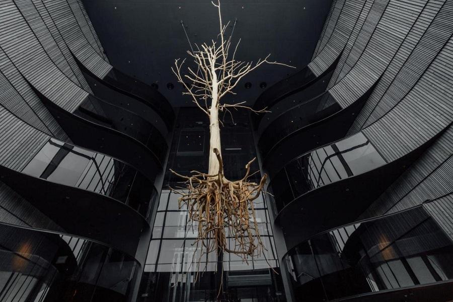 C:\Users\user\Desktop\Оля робота\Авто в оренду\рекламна стаття\ТОП 10 місць для відпочинку взимку\3_Emily Resort.jpeg